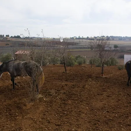 El Retiro De Cervantes * Ossa de Montiel